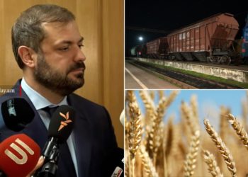 ՀՀ ներմուծվող ցորենի նոր խմբաքանակ կա՝ 3-րդ կամ 2-րդ կարգի է․ Պապոյան