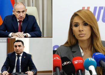 Պոպուլիստական զրույց էր․ Մելոյանը՝ Փաշինյանի և Պետրոսյանի՝ ՀԷՑ-ի հարցով քննարկման մասին