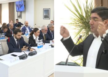 Դուք խաբել եք երևանցուն, չեք ասել, որ միայն տուգանելու համար են․ Մանուկյանը՝ ավագանու անդամներին