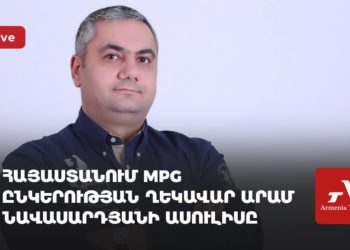 Проходит пресс-конференция главы компании MPG в Армении Арама Навасардяна (прямое включение)
