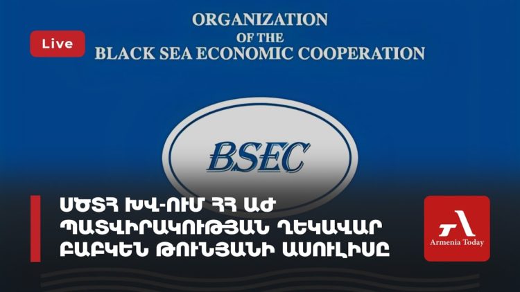 Проходит пресс-конференция главы делегации Армении в ПАЧЭС Бабкена Туняна (прямое включение)