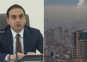 Մարդկանց թվում է, եթե Երևանը վերածվի անտառի, օդի որակը կլավանա, բայց այդպես չէ. Ավինյան