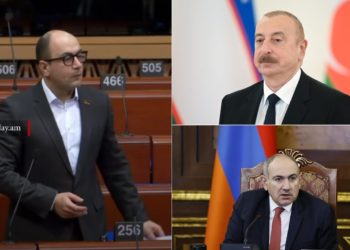 Քաղաքականապես իմ երկիրը բռնազավթված է Փաշինյանի, ֆիզիկապես՝ Ալիևի կողմից․ Մամիջանյանը՝ ԵԽԽՎ-ում