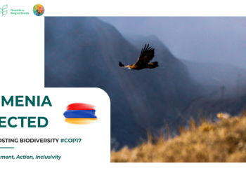 COP17 համաժողովի համար կառավարությունը լրացուցիչ 73,7 միլիոն դրամ է հատկացրել