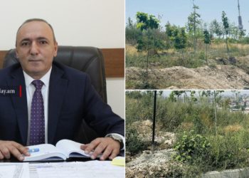 Երևանն ամբողջությամբ վերականգնել է կորցրած կանաչ տարածքները․ Տիգրան Ավինյան