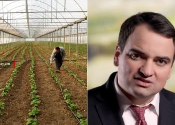 Նոյեմբերյանի ջերմոցային տնտեսությունները ձմռանը կապահովեն էժան միրգ և բանջարեղեն. Կարապետյան