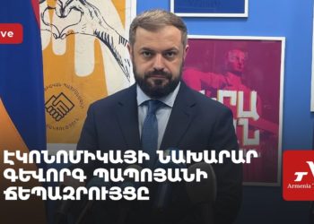 Проходит брифинг министра экономики Армении Геворга Папояна (прямое включение)