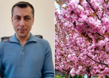 Синоптики сообщили о наступлении климатической весны в Армении