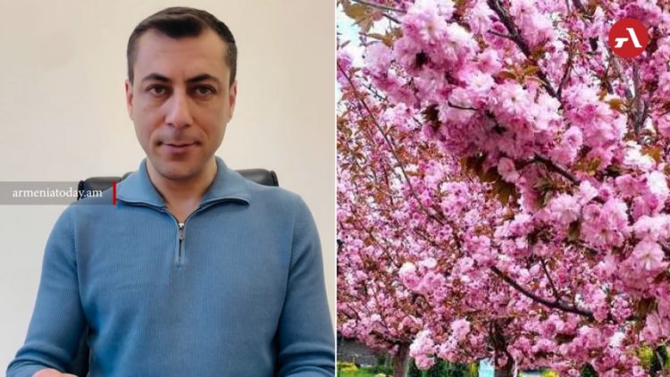 Синоптики сообщили о наступлении климатической весны в Армении