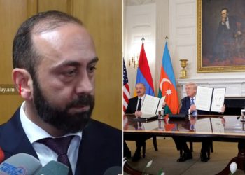 «Գնացի մարդի, ունեցա որդի», որ լինի՝ կգաք, կխոսենք. Միրզոյանը՝ TRIPP-ի դանդաղման մասին