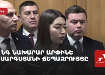 Проходит брифинг главы МВД Арпине Саркисян (прямое включение)