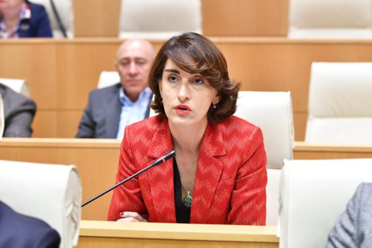 ԵՄ-ին անդամակցությունը կասեցվել է Բրյուսելի որոշմամբ․ Վրաստանի ԱԳ նախարար