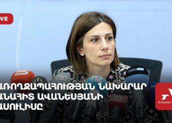 Առողջապահության նախարար Անահիտ Ավանեսյանի ասուլիսը (ուղիղ)