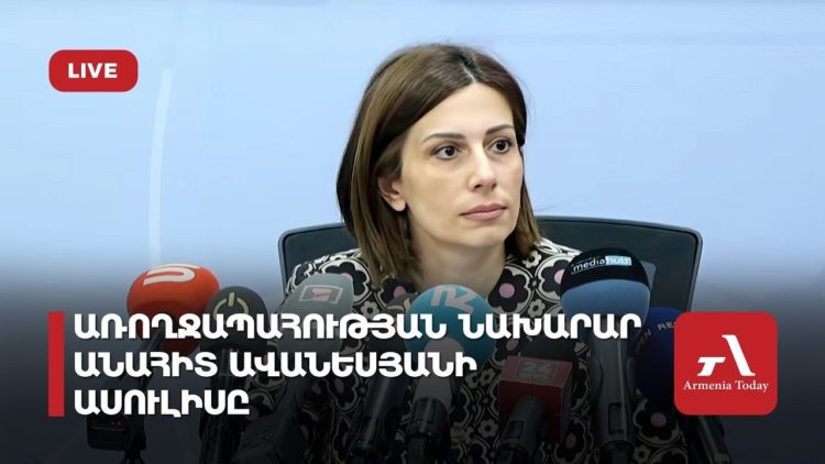 Առողջապահության նախարար Անահիտ Ավանեսյանի ասուլիսը (ուղիղ)