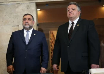 Աֆեյանը բանակցում է ԱՄՆ պաշտոնյաների հետ Վարդանյանին ազատելու հարցով. ԶԼՄ