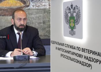 Նման խնդիրներ միշտ եղել են․ Միրզոյանը՝ ՌԴ-ում ՀՀ ապրանքների սահմանափակման մասին