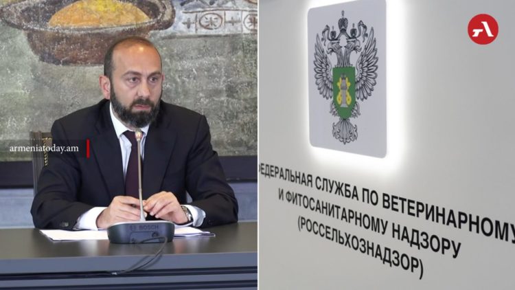 Նման խնդիրներ միշտ եղել են․ Միրզոյանը՝ ՌԴ-ում ՀՀ ապրանքների սահմանափակման մասին