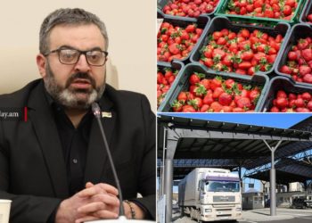 Депутат: из России вернули партию армянской клубники