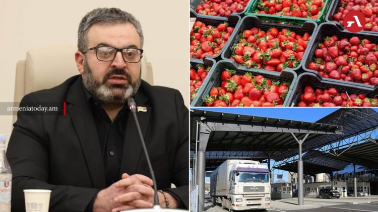 Депутат: из России вернули партию армянской клубники