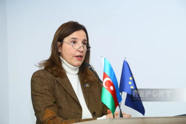 ԵԽ բանաձևի հարցով Ադրբեջանը բողոքի նոտա է հղել ԵՄ դեսպանին