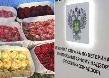 ՌԴ-ն սահմանափակել է ՀՀ-ից ծաղիկների, մրգերի ու բանջարեղենի մատակարարումը