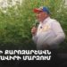 Проходит предвыборный митинг «Гражданского договора» в Армавире (прямое включение)