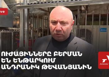 Ուժայինները բերման են ենթարկում Անդրանիկ Թևանյանին (ուղիղ)
