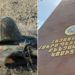 СК возбудил дело после смерти военнослужащего в воинской части