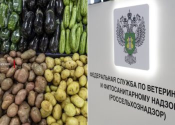 ՌԴ-ն արգելել է ՀՀ-ից արտահանվող ևս մի շարք ապրանքների ներմուծումը