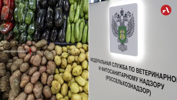 ՌԴ-ն արգելել է ՀՀ-ից արտահանվող ևս մի շարք ապրանքների ներմուծումը