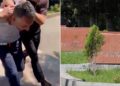 Полиция задержала подозреваемого в повреждении мемориала «Мать Армения» в Гюмри
