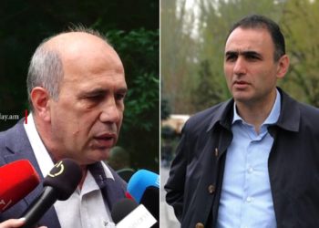 Քրեական հետապնդման պատճառը ռեժիմին քննադատելն է․ Մանվելյան