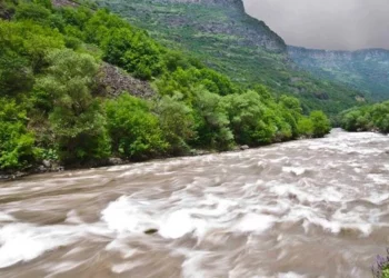 Երեխաների՝ Փամբակ գետն ընկնելու դեպքով նախաձեռնվել է քրվարույթ․ ՔԿ