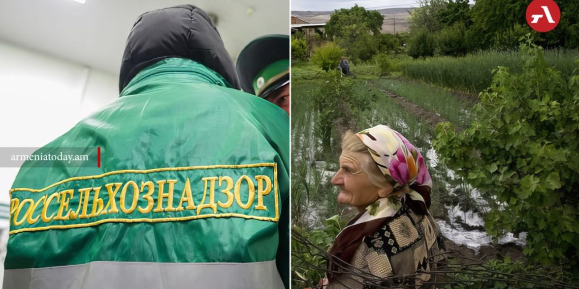 Россельхознадзор ограничит ввоз всей подкарантинной продукции из Армении