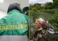 Россельхознадзор ограничит ввоз всей подкарантинной продукции из Армении
