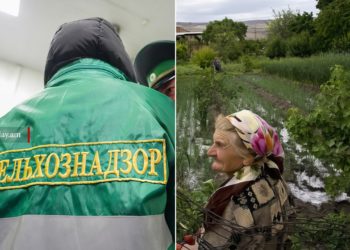 Россельхознадзор ограничит ввоз всей подкарантинной продукции из Армении
