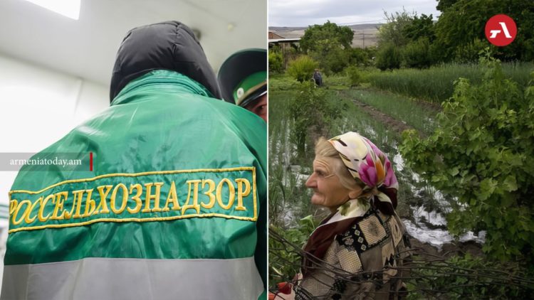 Россельхознадзор ограничит ввоз всей подкарантинной продукции из Армении