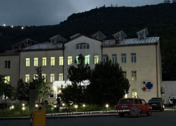 Սյունիքի մարզում գայլի հարձակումից տուժած 6 անձից մեկի վիճակը ծանր է