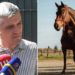 Адвокат сообщил о переносе изъятия лошадей Царукяна