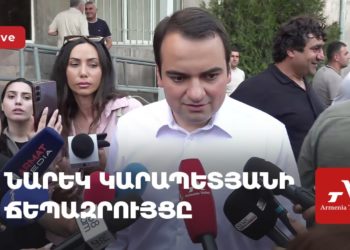 Проходит брифинг Нарека Карапетяна (прямое включение)