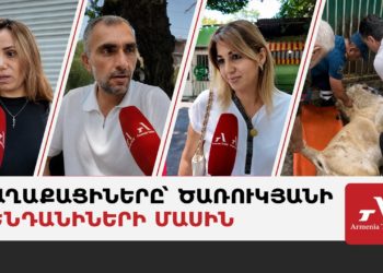 «Անմարդկային է», «ազատ տարածք է պետք»․ հարցում՝ Ծառուկյանի կենդանիների մասին