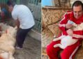 Погибла вывезенная силовиками из особняка Царукяна львица