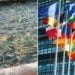 Правительство утвердило правила экспорта армянской рыбы в Евросоюз