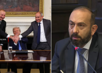Միրզոյանը ներկայացրել է TRIPP համաձայնագրի վավերացման գործընթացը