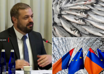 ՀՀ-ն ԵՄ երկրներ սառեցված ձուկ ու ձկնամթերք կարտահանի. Պապոյան