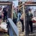 Животных из особняка Царукяна перевезли в зоопарк: СК сообщил о новом уголовном деле