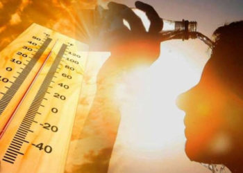 Գերմանիայում անոմալ շոգի հետևանքով ավելի քան 5000 մարդ է մահացել. ԶԼՄ