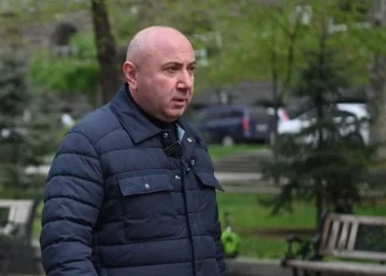 Партия «Мать Армения» заявила об ухудшении состояния здоровья Андраника Теваняна