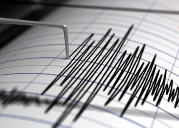 В Турции произошло землетрясение магнитудой 5,0