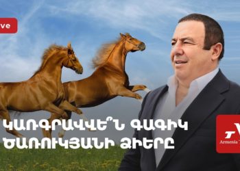 У особняка Царукяна ожидают решения по изъятию лошадей (прямое включение)